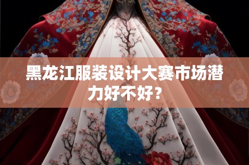 黑龙江服装设计大赛市场潜力好不好？