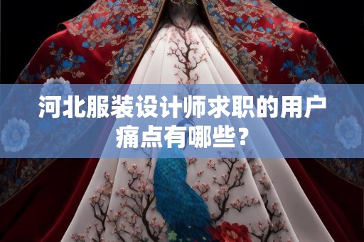 河北服装设计师求职的用户痛点有哪些？