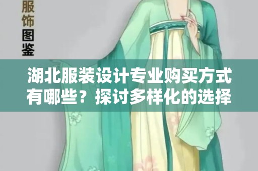 湖北服装设计专业购买方式有哪些？探讨多样化的选择